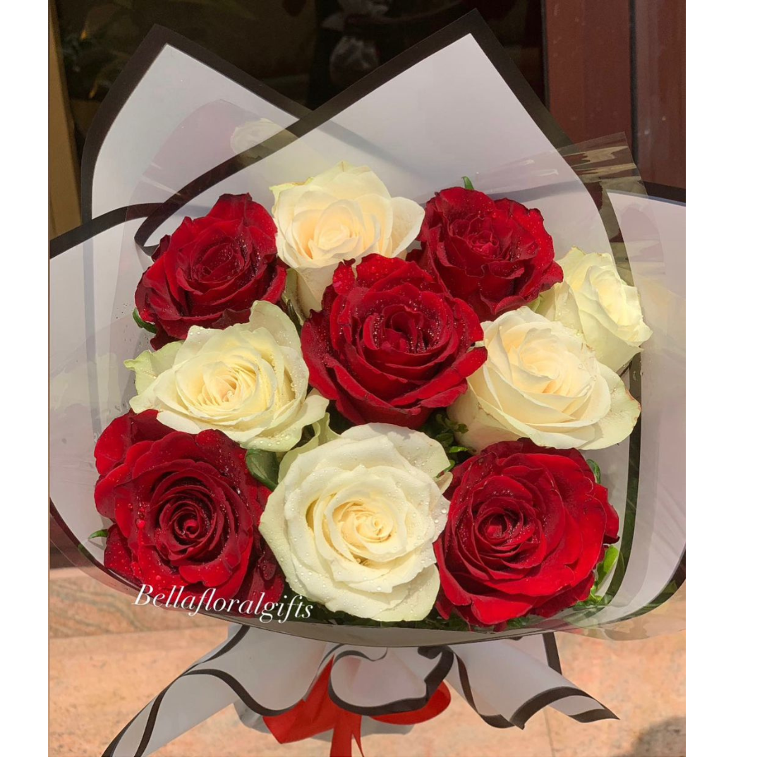 Red and white Roses